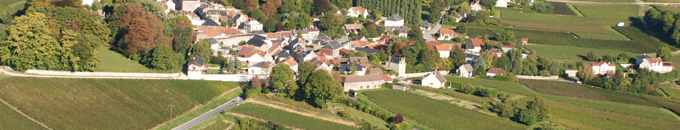 Vue aérienne de Chenay et vignoble - Marne